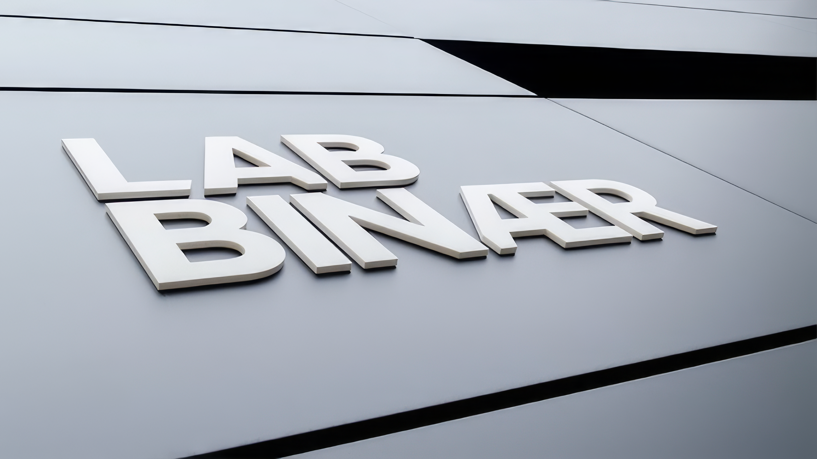 LAB BINÆR